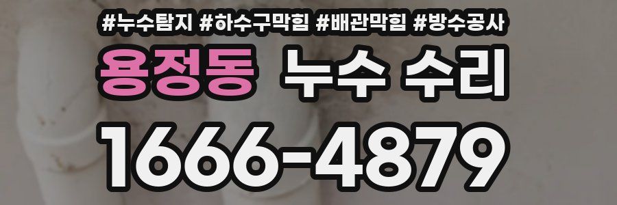 용정동 누수 수리