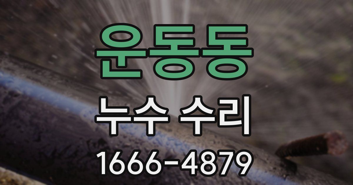 운동동 누수 수리