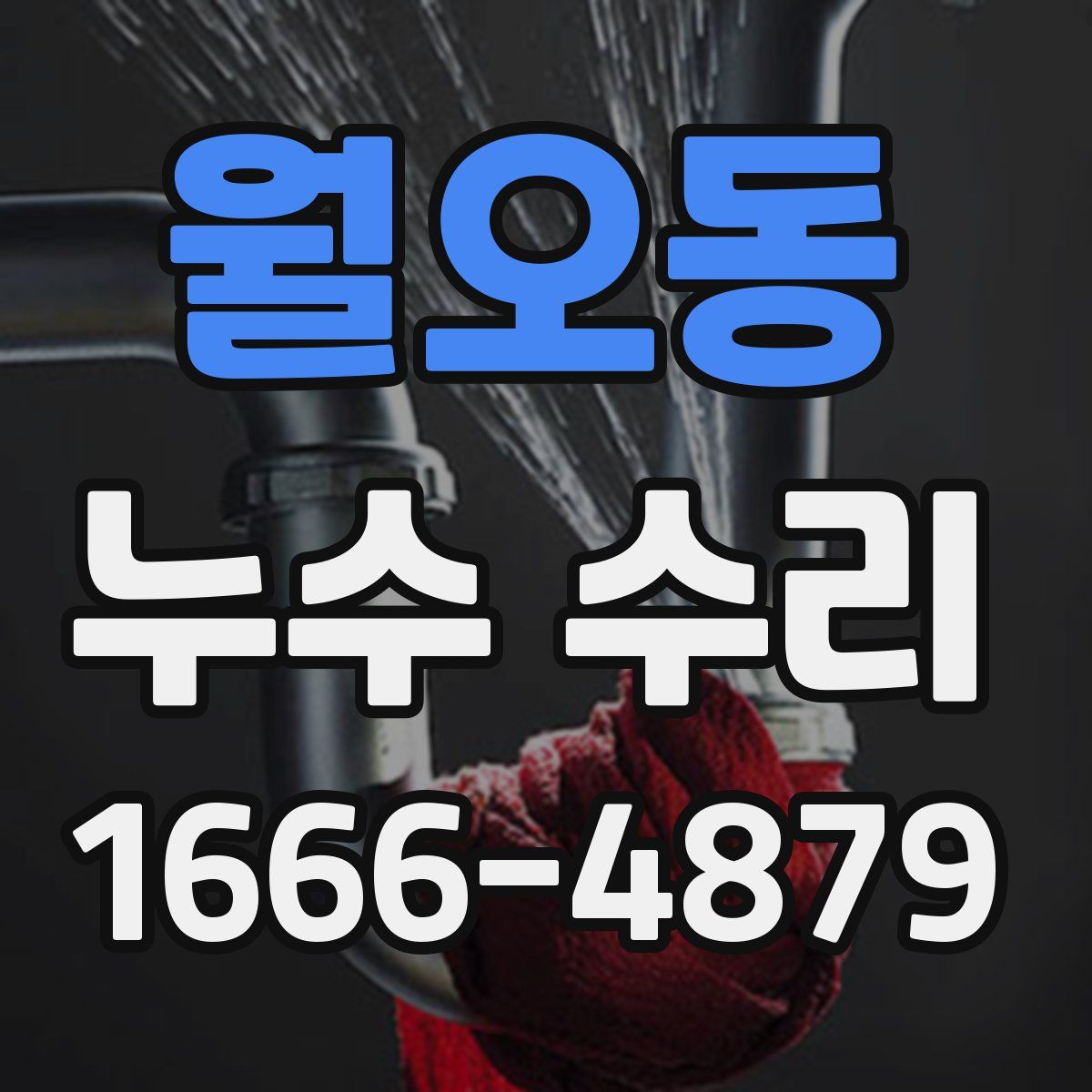 월오동 누수 수리
