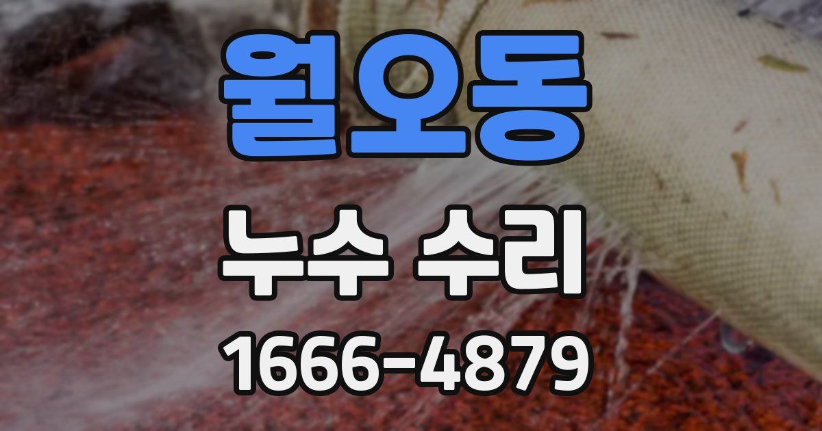 월오동 누수 수리