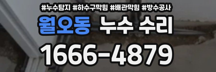 월오동 누수 수리