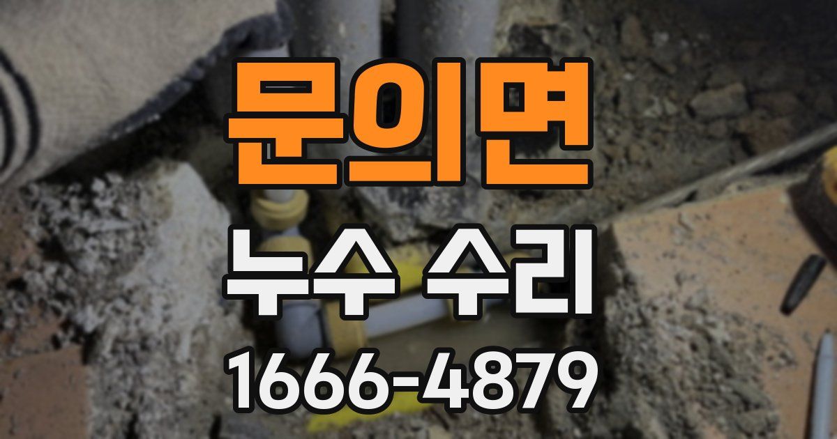 문의면 누수 수리