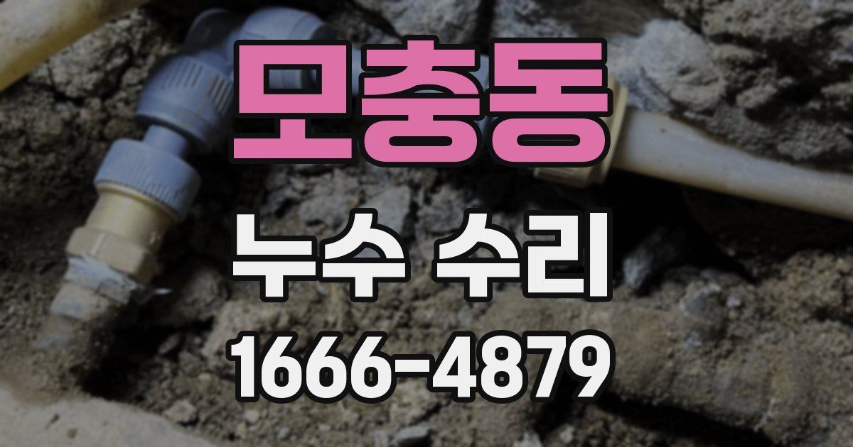 모충동 누수 수리