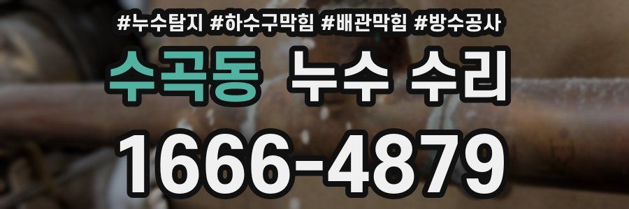 수곡동 누수 수리