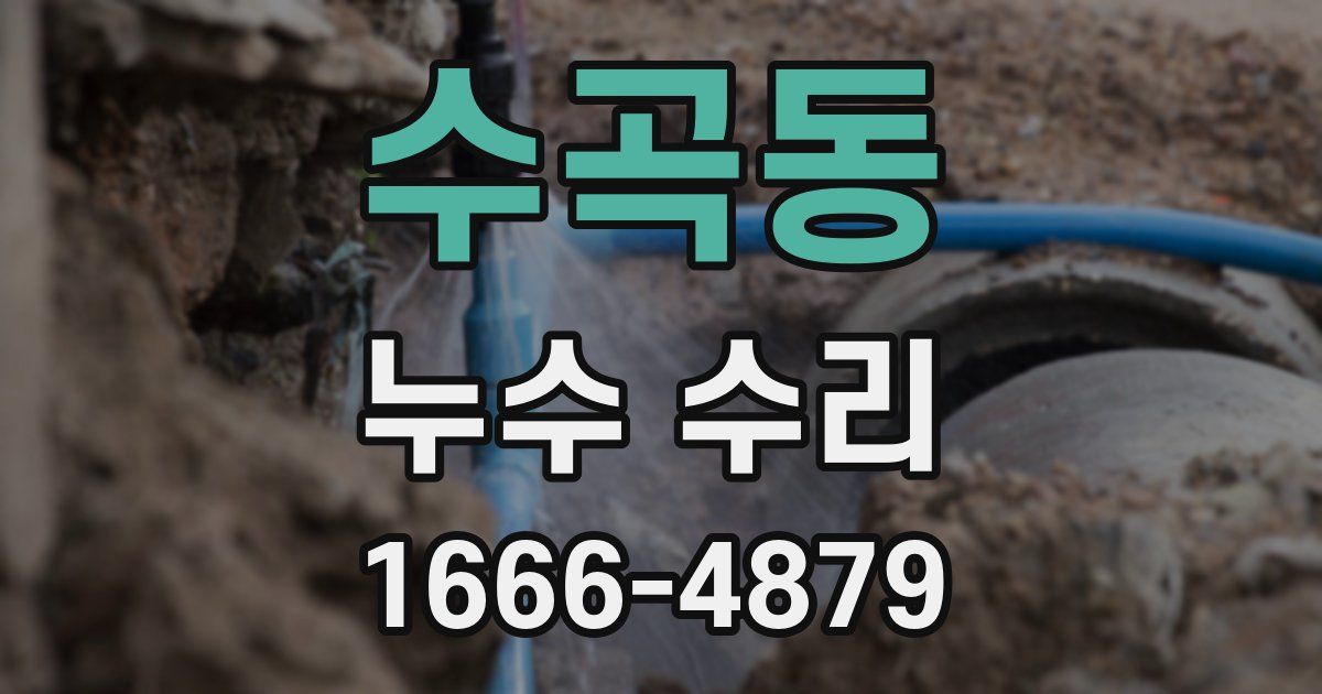 수곡동 누수 수리