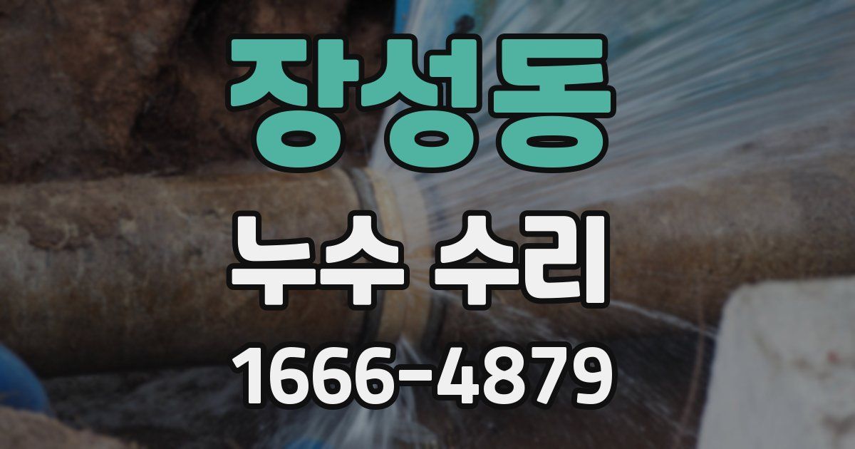 장성동 누수 수리