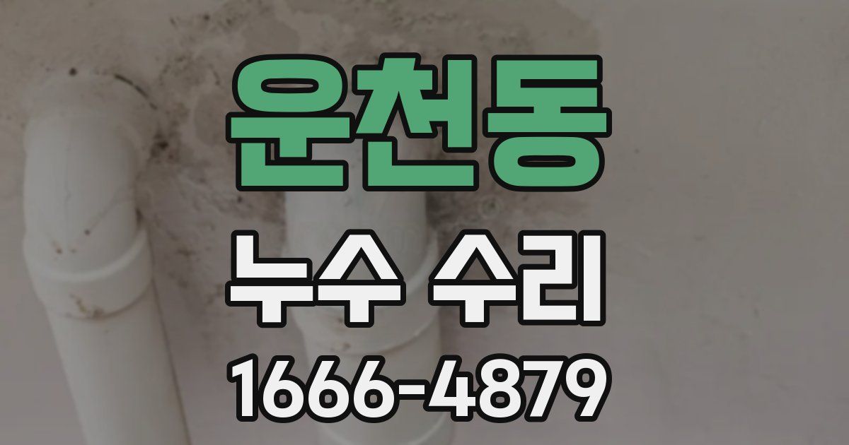 운천동 누수 수리