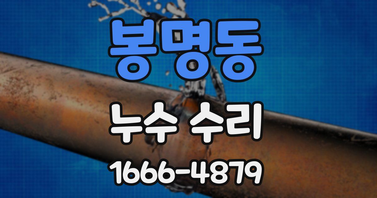 봉명동 누수 수리