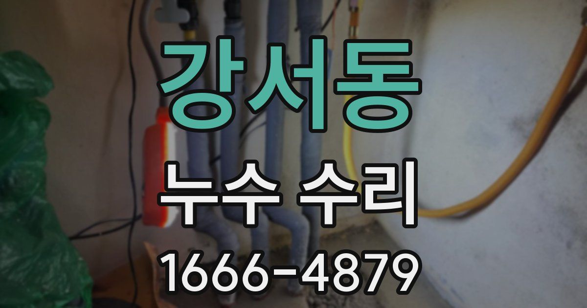 강서동 누수 수리
