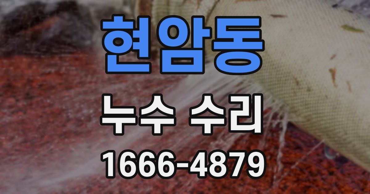 현암동 누수 수리