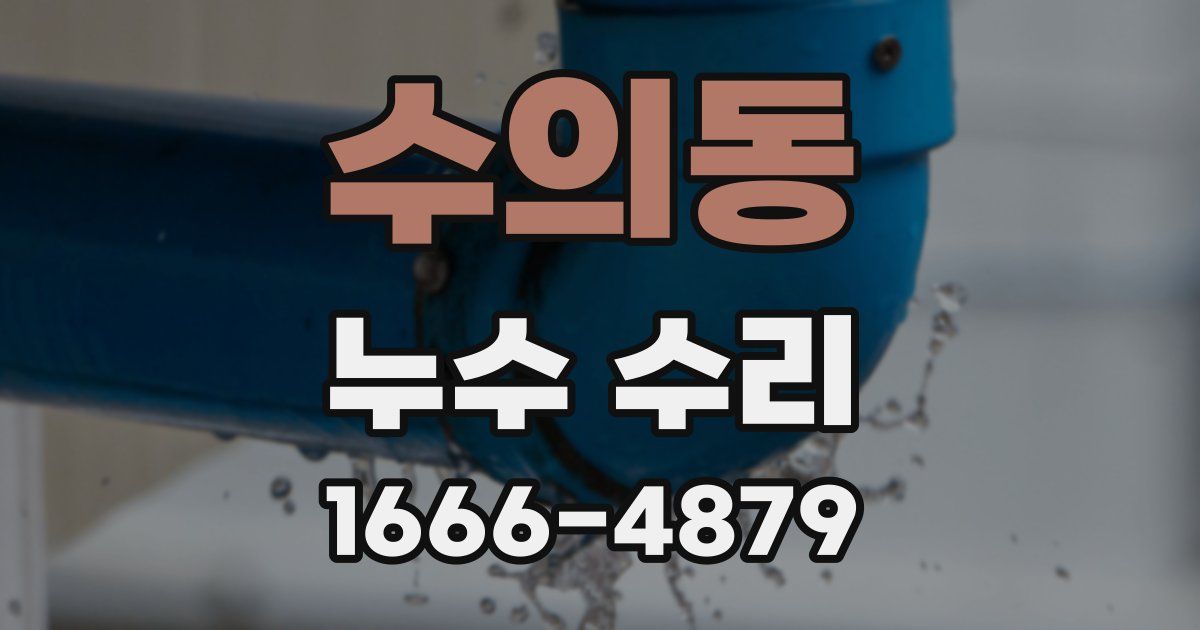 수의동 누수 수리