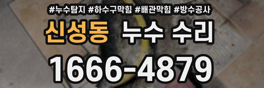신성동 누수 수리