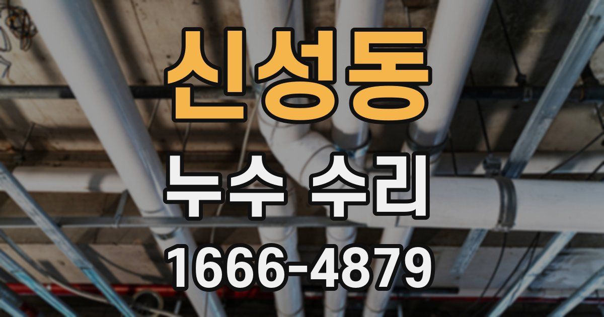신성동 누수 수리