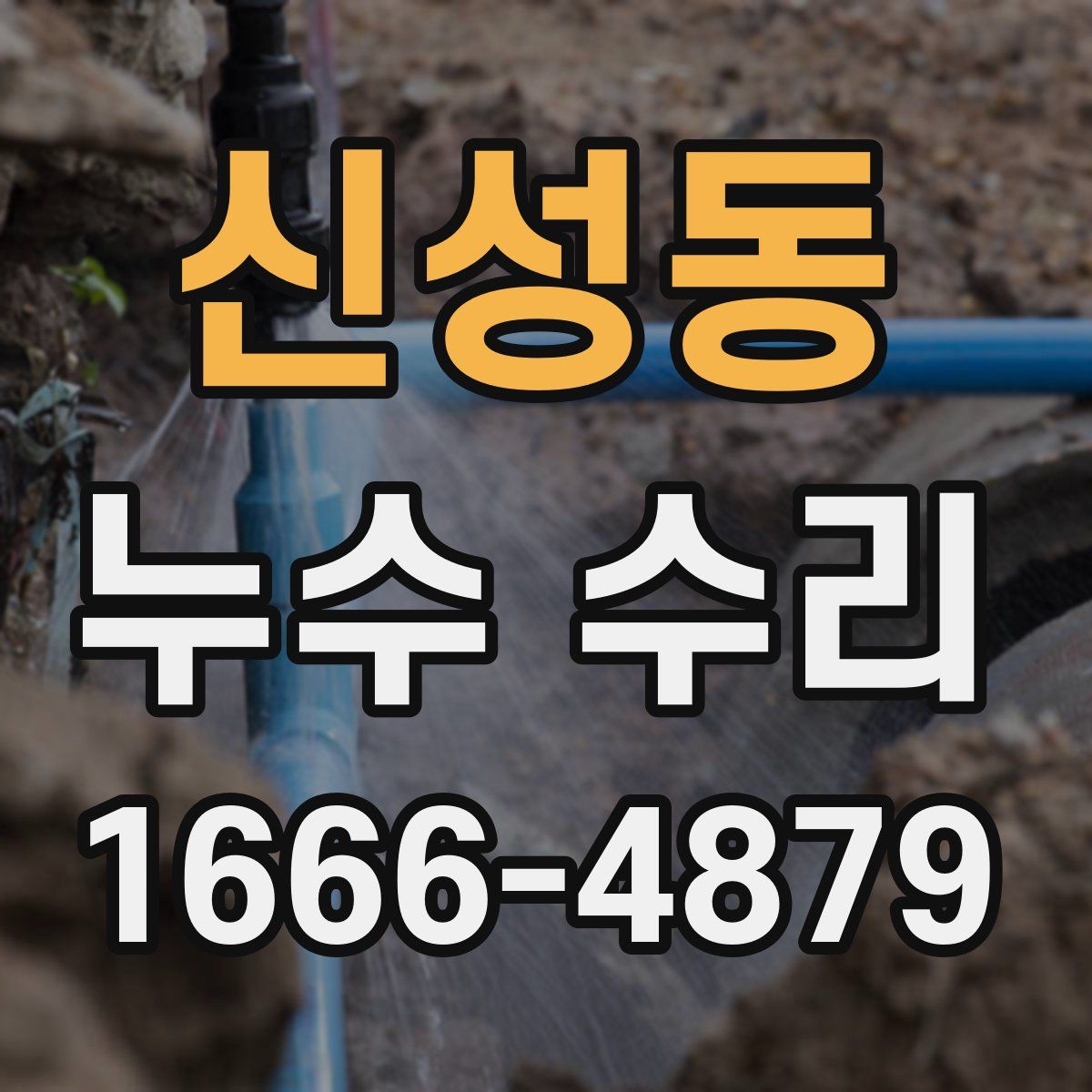 신성동 누수 수리