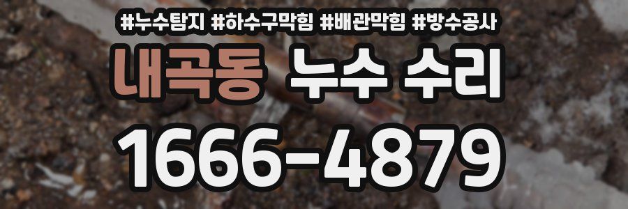 내곡동 누수 수리
