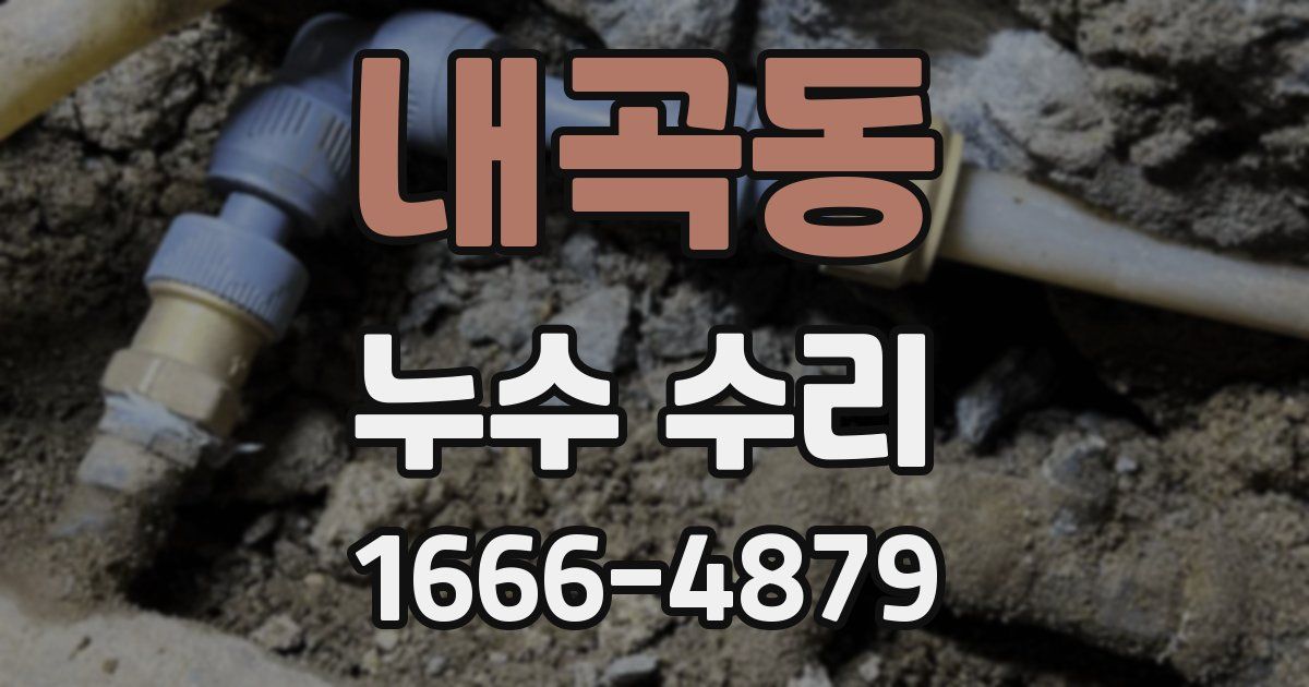 내곡동 누수 수리