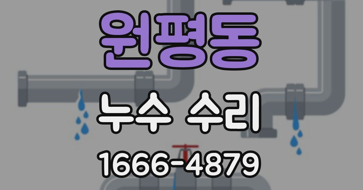 원평동 누수 수리
