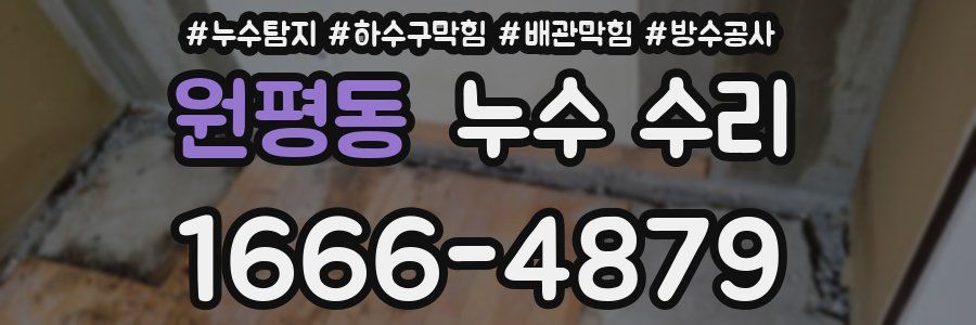 원평동 누수 수리