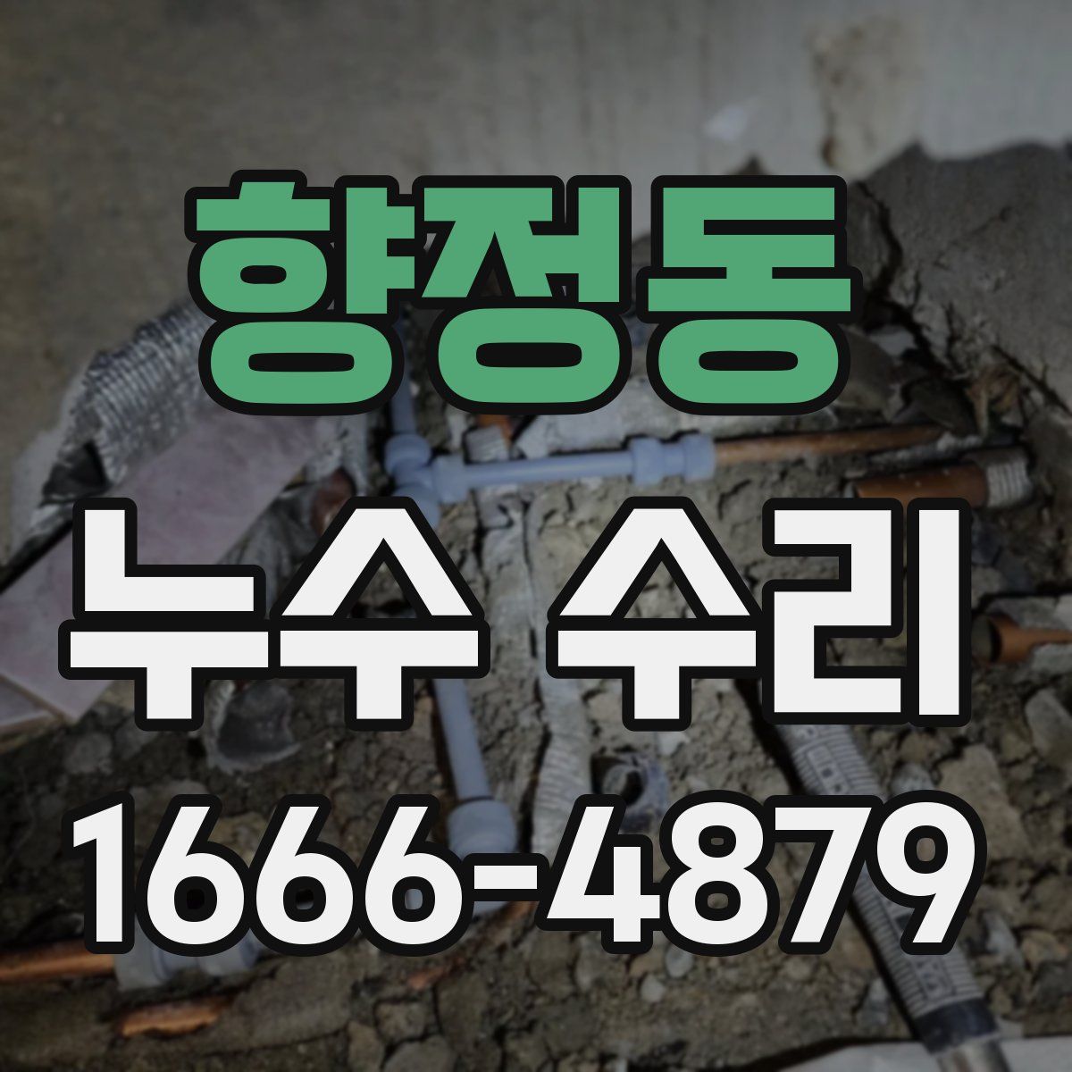 향정동 누수 수리