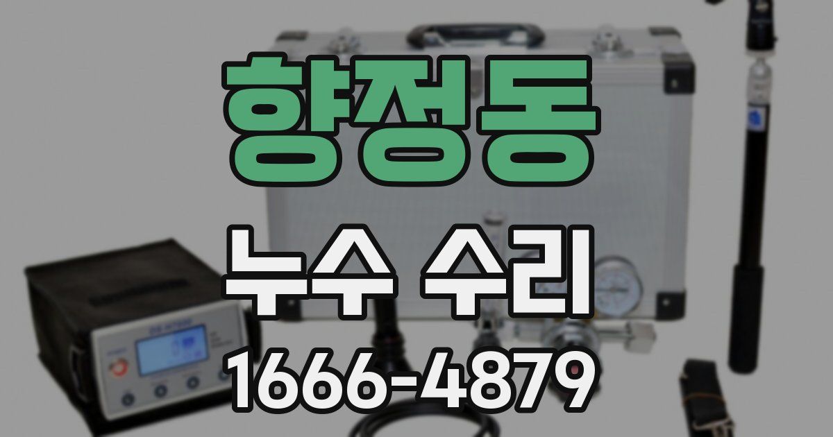 향정동 누수 수리