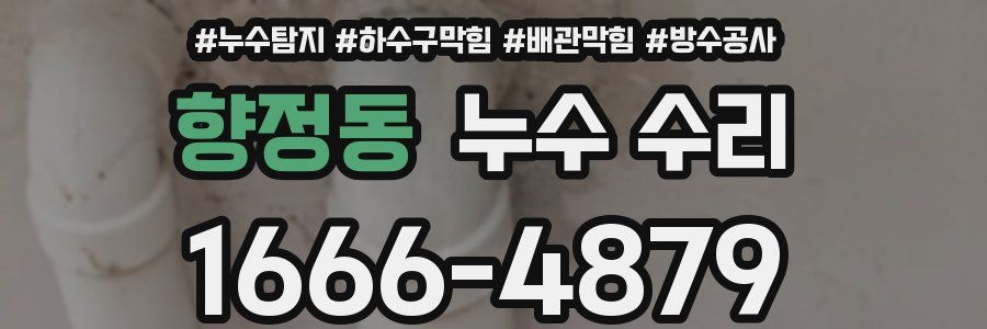 향정동 누수 수리