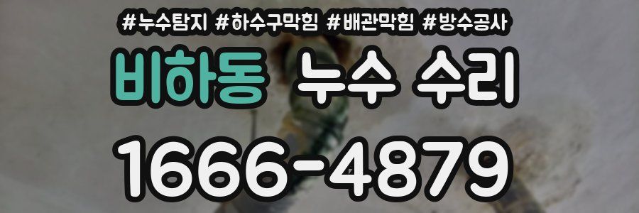 비하동 누수 수리
