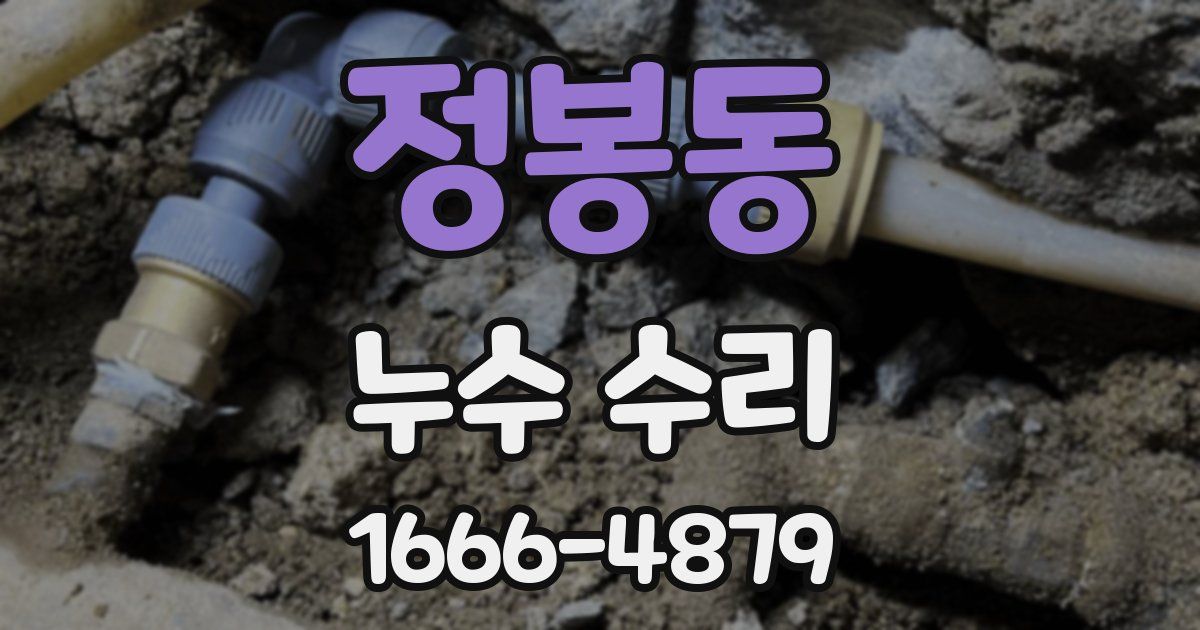 정봉동 누수 수리