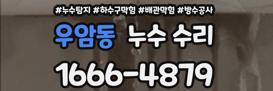 우암동 누수 수리