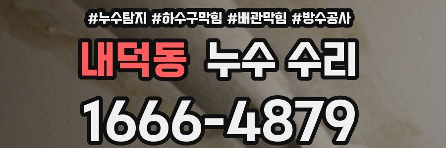 내덕동 누수 수리