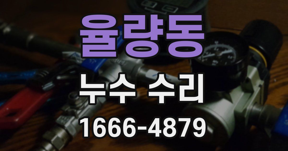 율량동 누수 수리