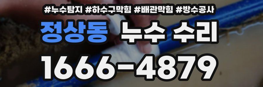 정상동 누수 수리