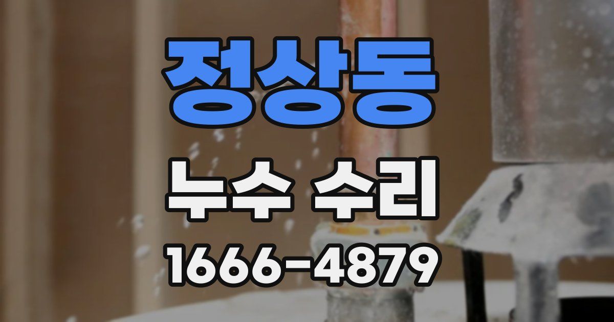 정상동 누수 수리