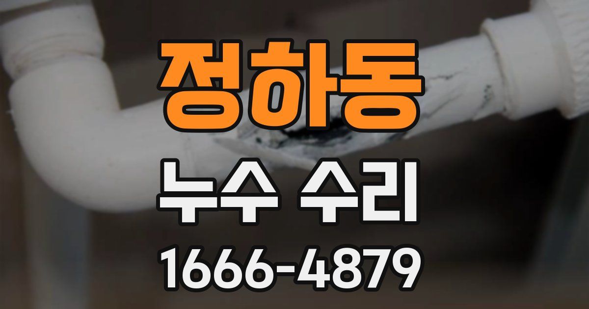 정하동 누수 수리