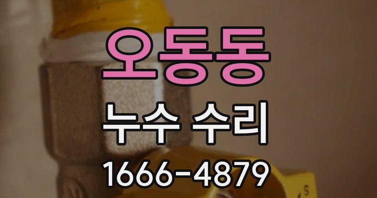 오동동 누수 수리