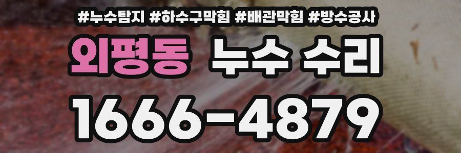 외평동 누수 수리