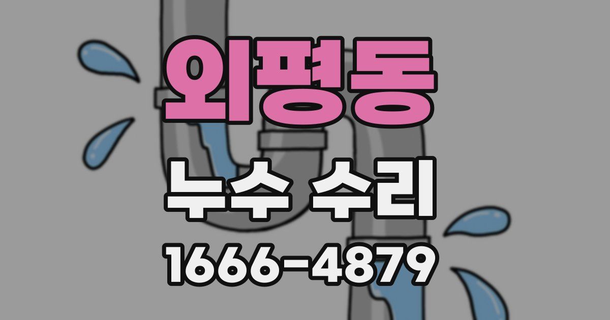 외평동 누수 수리