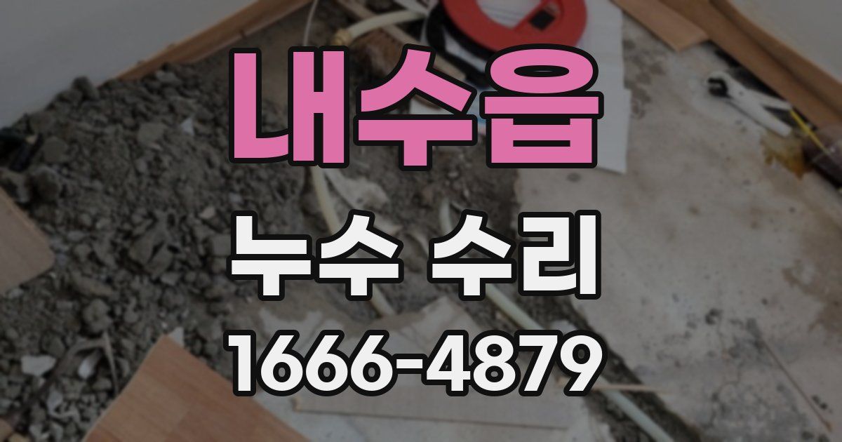 내수읍 누수 수리