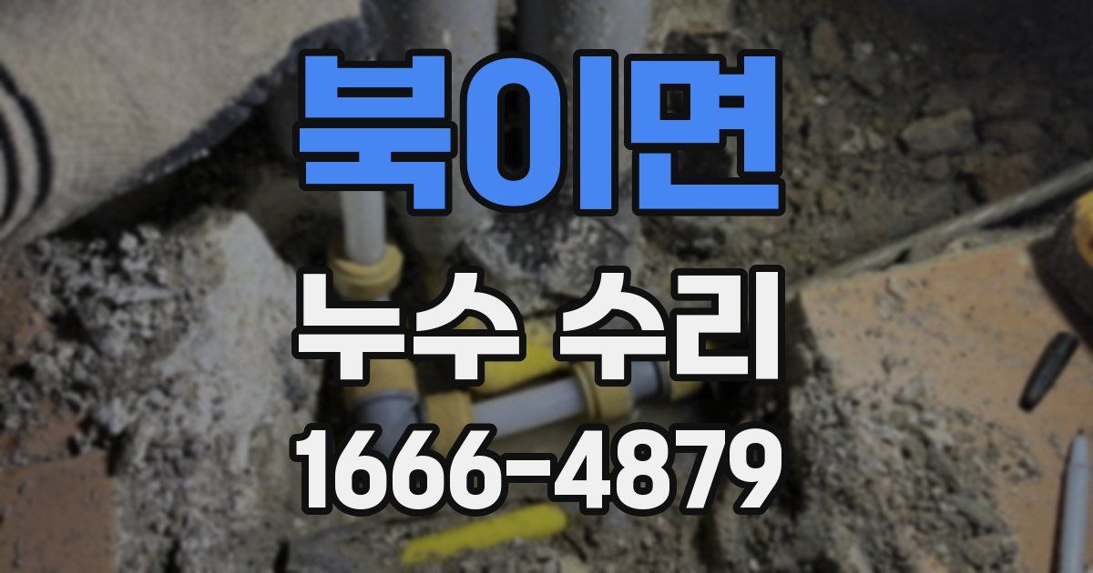 북이면 누수 수리