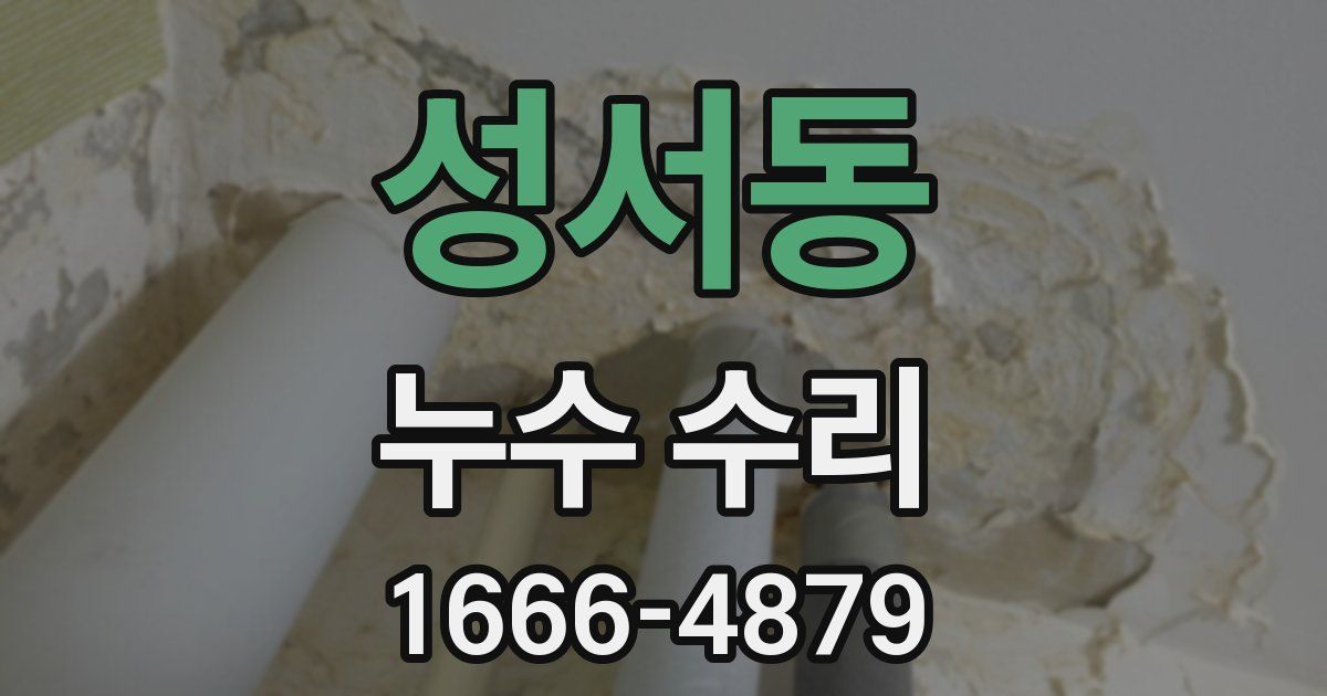 성서동 누수 수리