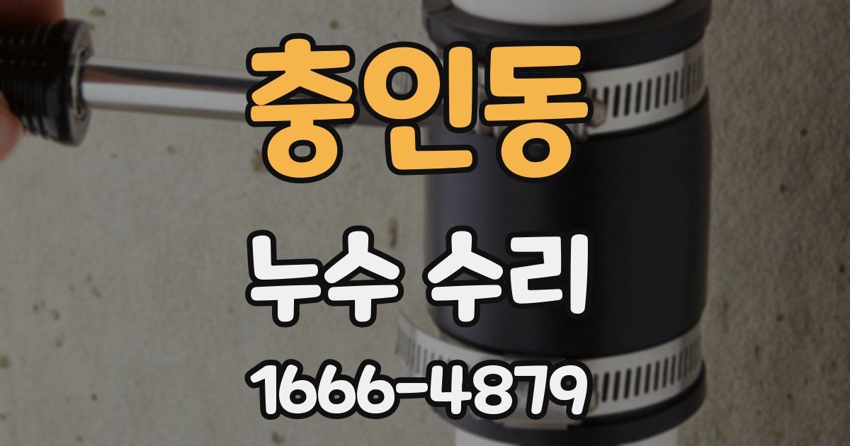 충인동 누수 수리