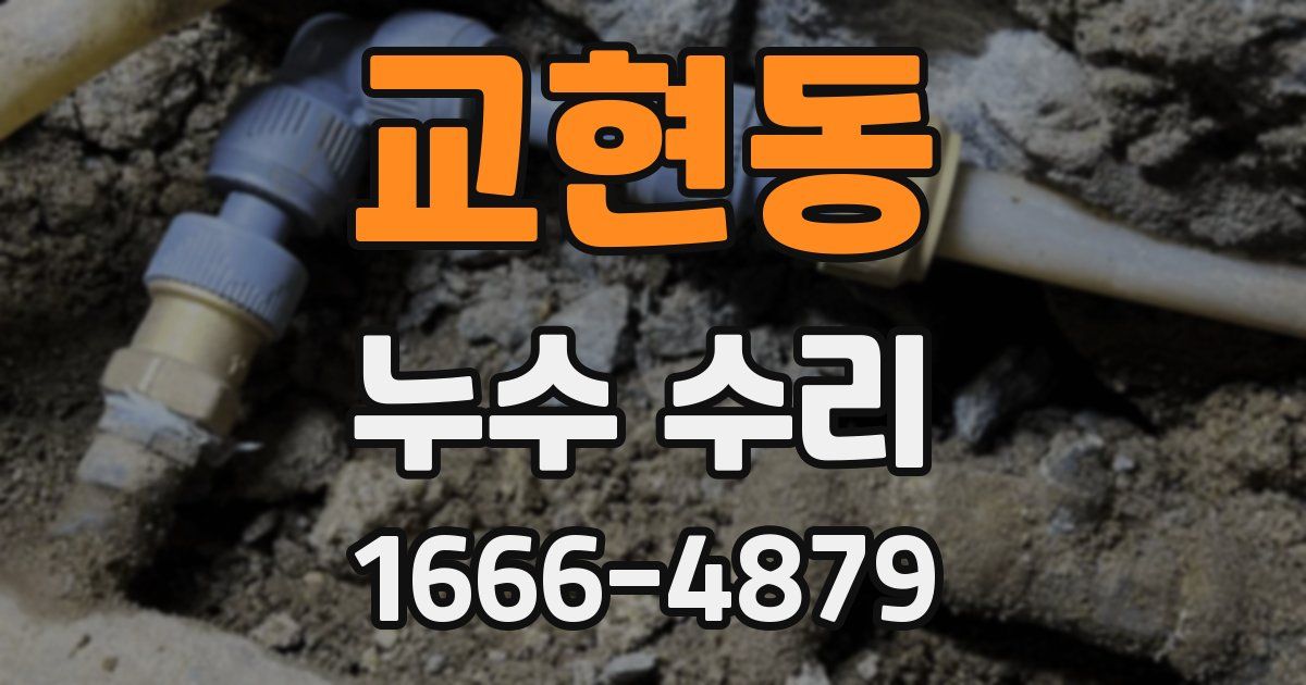 교현동 누수 수리