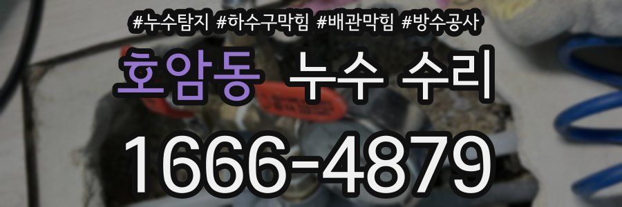 호암동 누수 수리