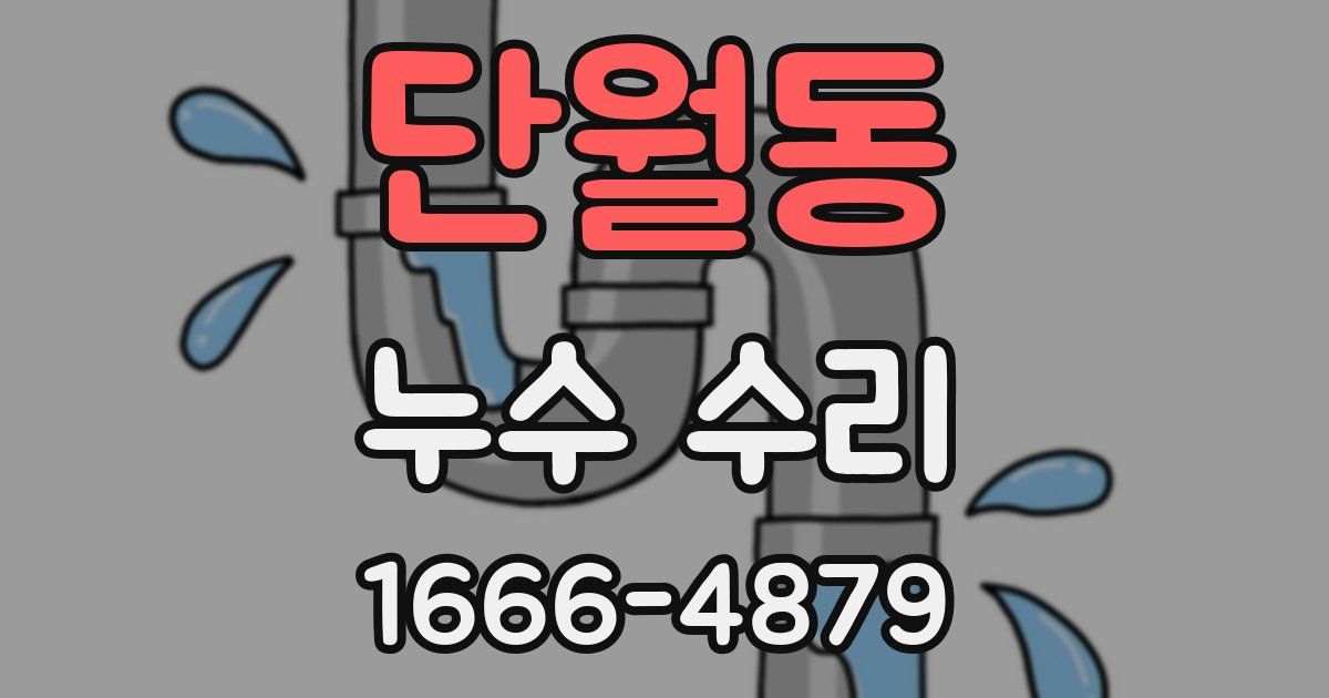 단월동 누수 수리