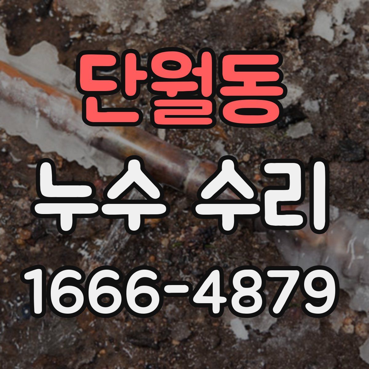 단월동 누수 수리