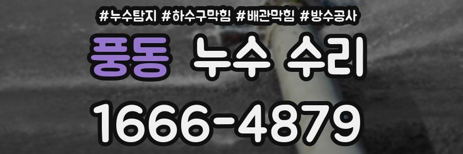 풍동 누수 수리
