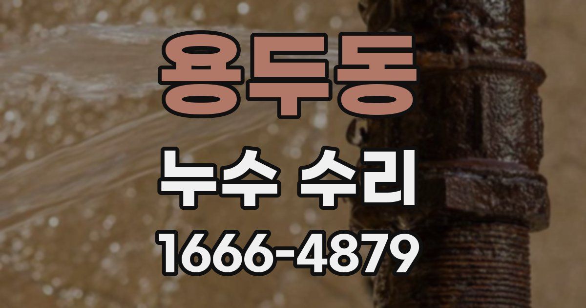 용두동 누수 수리