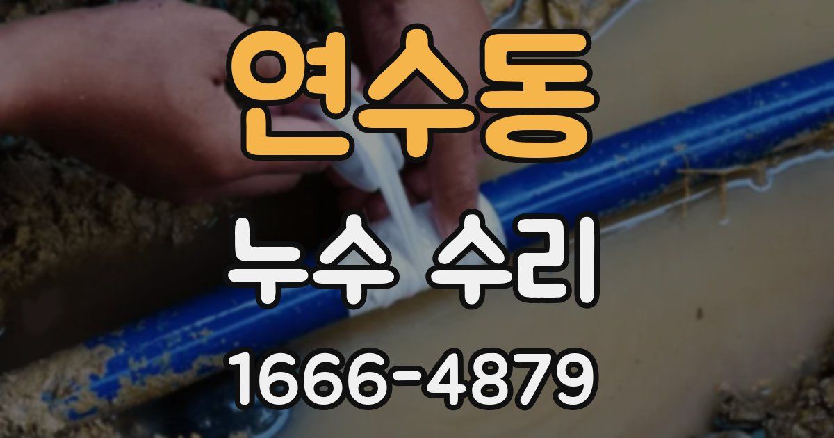 연수동 누수 수리