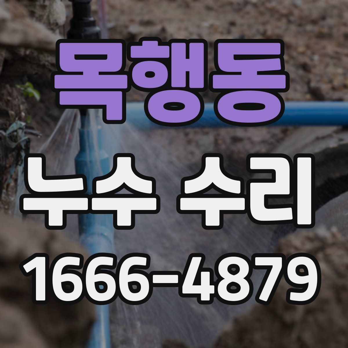 목행동 누수 수리