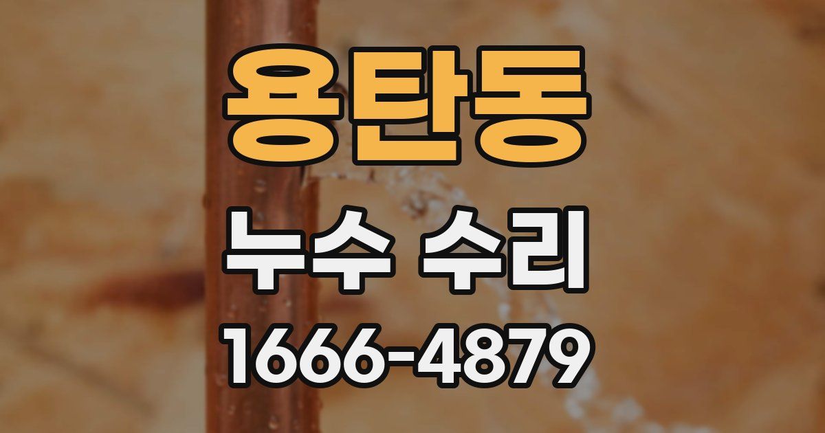 용탄동 누수 수리