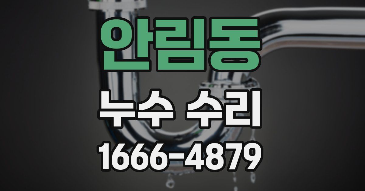 안림동 누수 수리